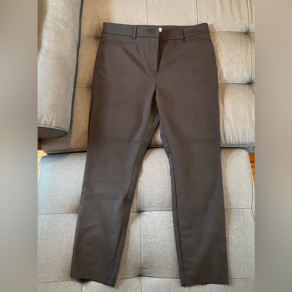 NWOT Loft petite curvy Sutton skinny pants